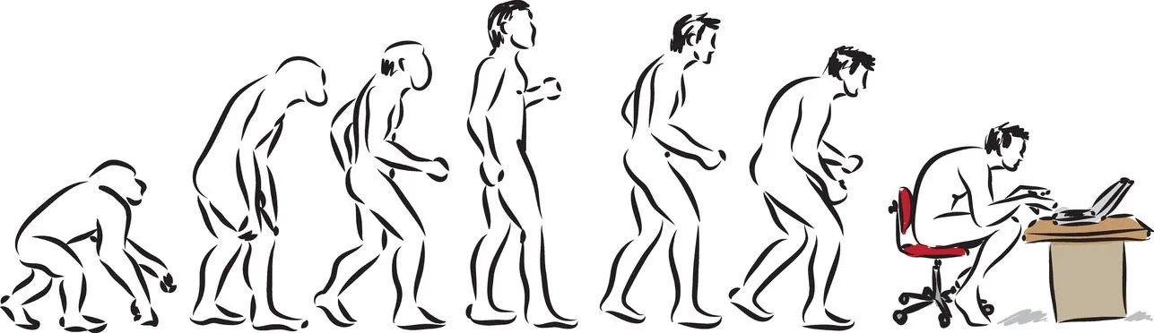 Evolution